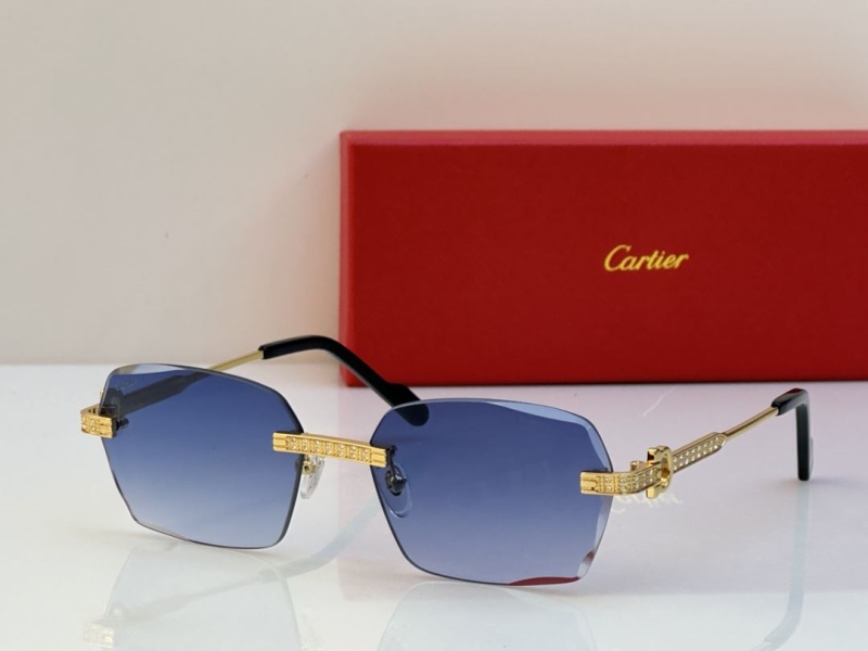 Cartier Sunglasses